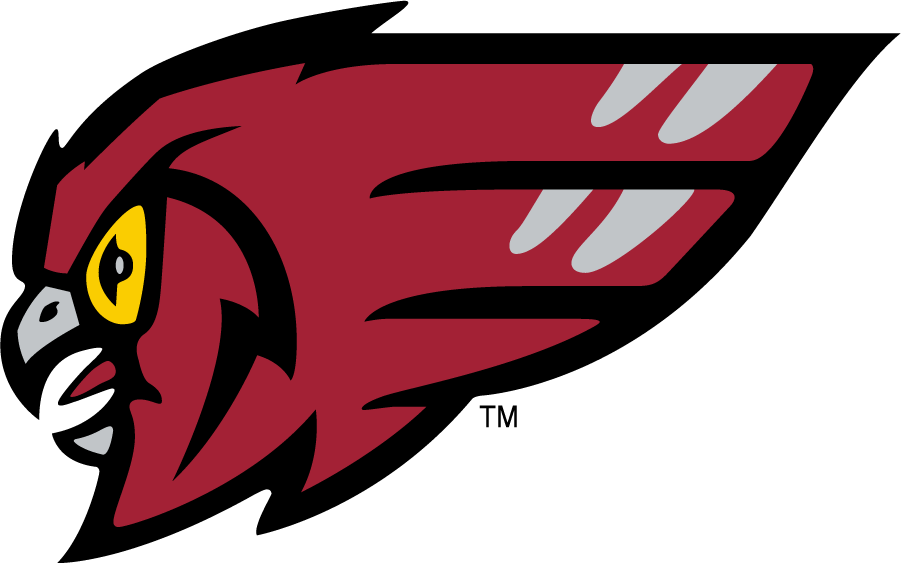 Temple Owls 1996-2011 Secondary Logo DIY iron on transfer (heat transfer)
